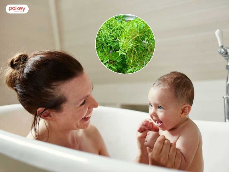 Bỏ túi 5 mẹo dân gian chữa trẻ ra mồ hôi trộm an toàn tại nhà 10 Bỏ túi 5 mẹo dân gian chữa trẻ ra mồ hôi trộm an toàn tại nhà