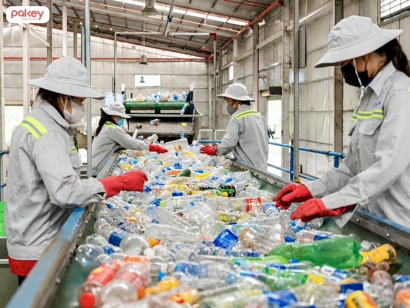 Nhựa tái chế là gì? Phân biệt và ứng dụng thực tế của từng loại