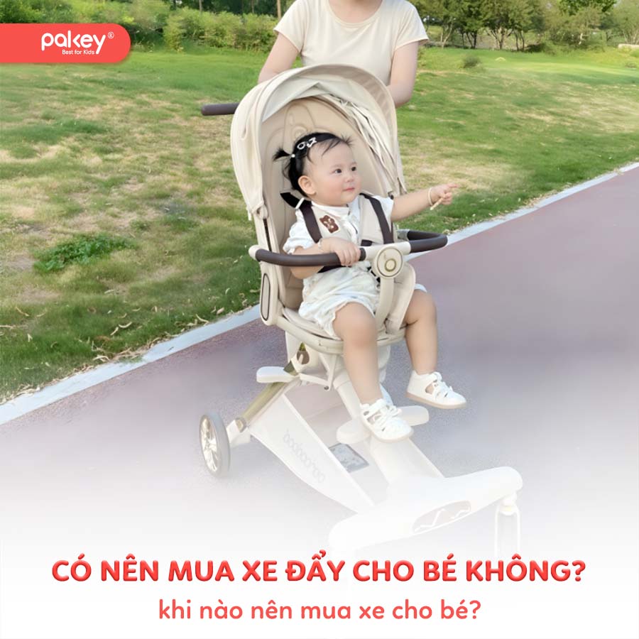 Có nên mua xe đẩy cho bé không? Khi nào nên mua xe cho bé? 9 Có nên mua xe đẩy cho bé không? Khi nào nên mua xe cho bé?
