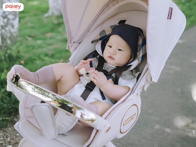Kinh nghiệm thuê xe đẩy cho bé đi du lịch lần đầu từ A đến Z 11 Kinh nghiệm thuê xe đẩy cho bé đi du lịch lần đầu từ A đến Z