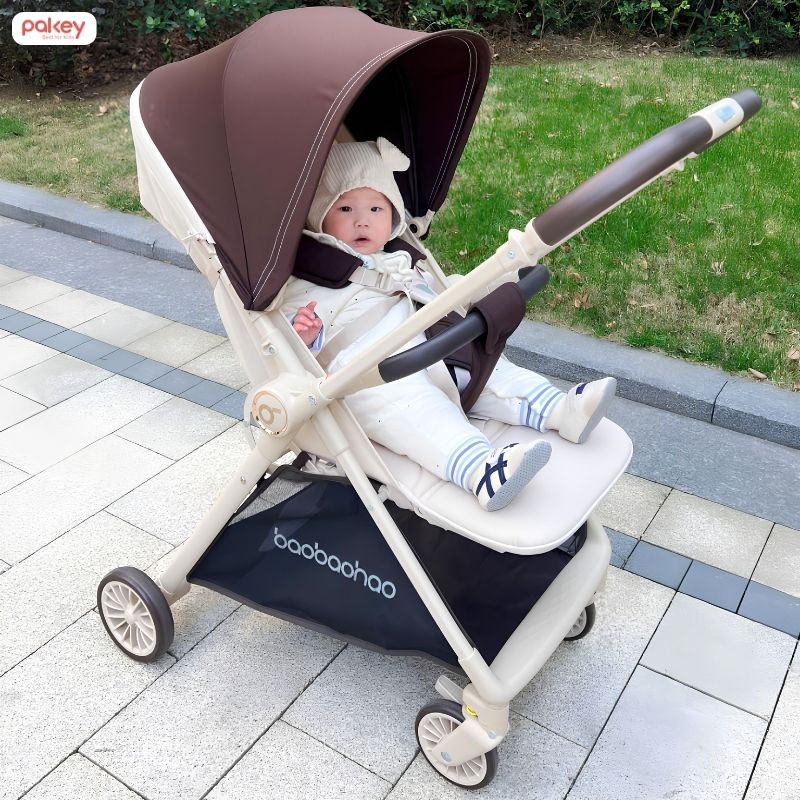 Có nên mua xe đẩy Baobaohao? Review và cách chọn mẫu phù hợp