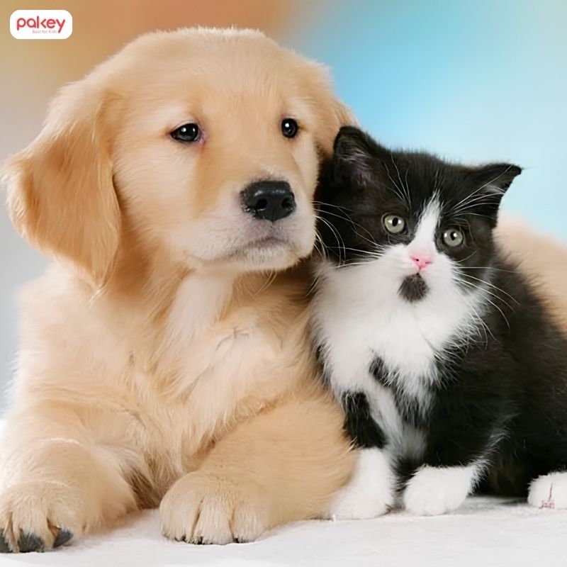 Nhà có trẻ nhỏ có nên nuôi chó mèo không? 8 Nhà có trẻ nhỏ có nên nuôi chó mèo không?