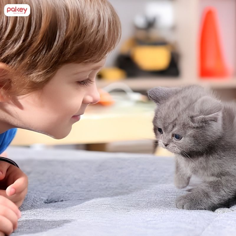 Nhà có trẻ nhỏ có nên nuôi chó mèo không? 9 Nhà có trẻ nhỏ có nên nuôi chó mèo không?