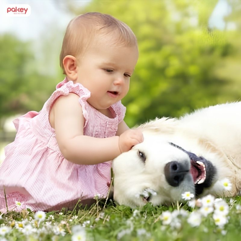 [Giải đáp] Trẻ sơ sinh có nên tiếp xúc với chó mèo không?