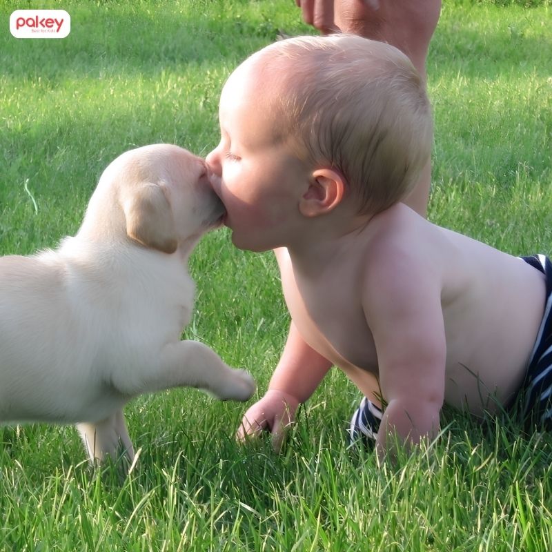 [Giải đáp] Trẻ sơ sinh có nên tiếp xúc với chó mèo không?