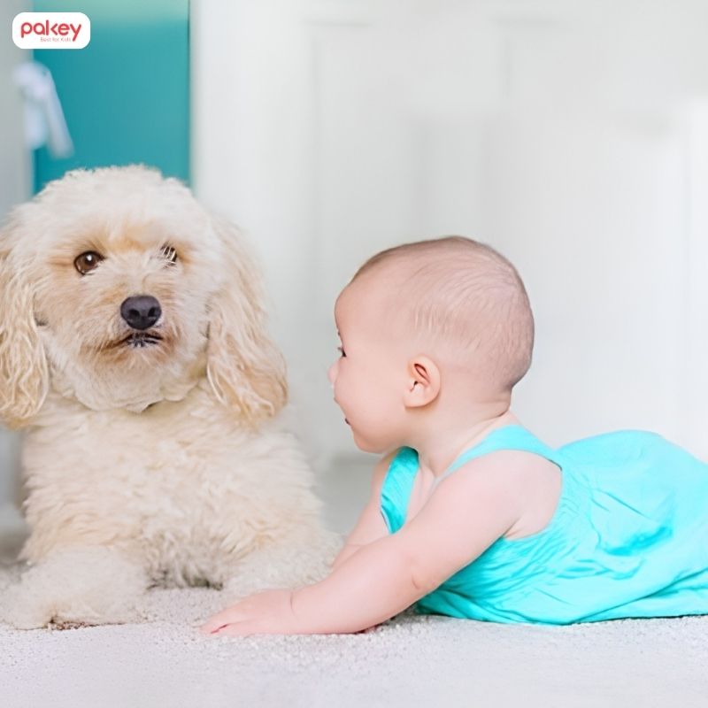 [Giải đáp] Trẻ sơ sinh có nên tiếp xúc với chó mèo không?