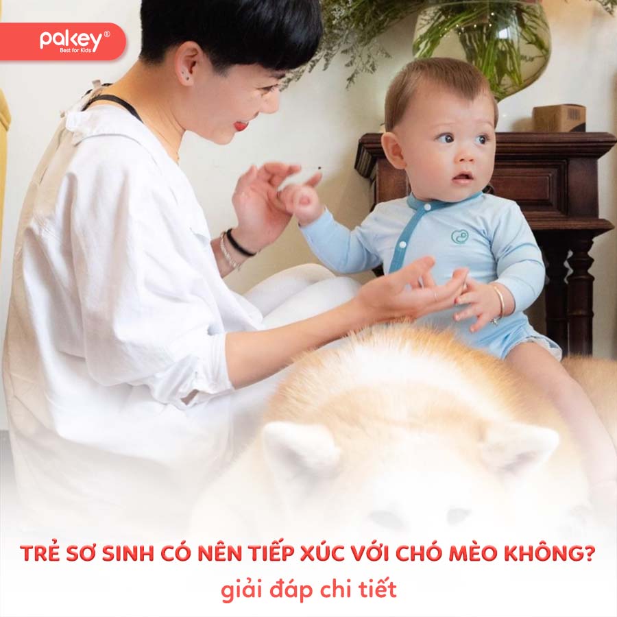 [Giải đáp] Trẻ sơ sinh có nên tiếp xúc với chó mèo không?